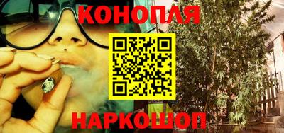 PSILOCYBIN Пушкино