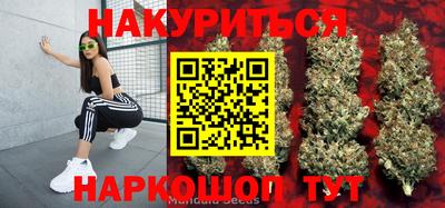 PSILOCYBIN Пушкино