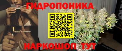 PSILOCYBIN Пушкино